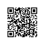 1111Y6303P90BQT QRCode