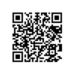 1111Y6303P90HQT QRCode