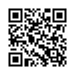 12061C393JAT4A QRCode