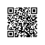 1206J2K03P90BQT QRCode