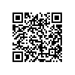 1206J2K04P70DQT QRCode