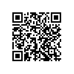 1206J3001P80DQT QRCode