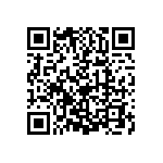 1206Y0250101MXR QRCode