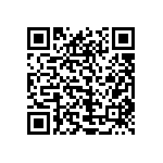 1206Y2K01P30BQT QRCode