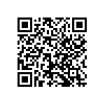 1206Y3000910GQT QRCode