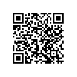 1206Y3001P30HQT QRCode