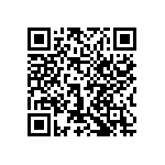 1206Y3001P60CQT QRCode