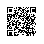 1210J0250394KXR QRCode