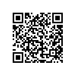 1210Y1K00391JET QRCode