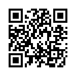 1295_17B QRCode