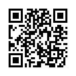 12FFLSJ40 QRCode