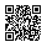 13-38 QRCode