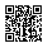 1300131001 QRCode