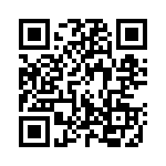 130118 QRCode