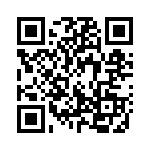 1309X100 QRCode