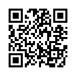 132113RPRT QRCode