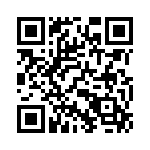 132127 QRCode