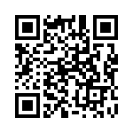 132147 QRCode