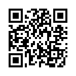 132170RP QRCode