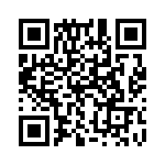 132171RP-RP QRCode