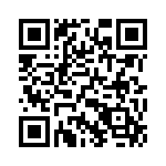 132195RP QRCode