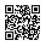 1321XNSK-BDM QRCode