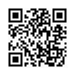 132234RP QRCode