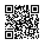 132255 QRCode