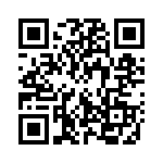 132289RP QRCode
