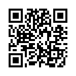 1331-333H QRCode