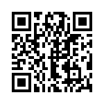 134-1019-161 QRCode