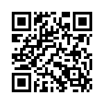 1381-1 QRCode