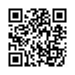 13FR100E QRCode