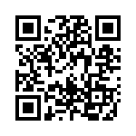 1610L055 QRCode