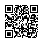 16291 QRCode