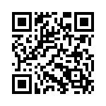 165T22 QRCode