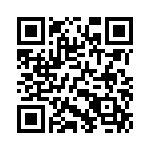 165X13239X QRCode