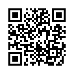 165X13399XE QRCode