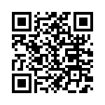 169041011300 QRCode