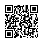 17011541603 QRCode