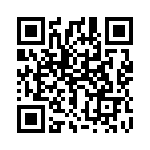 1703238 QRCode