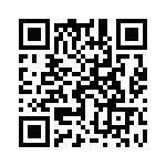 17041542203 QRCode