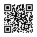 1713004 QRCode