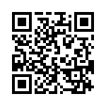 17131271202 QRCode