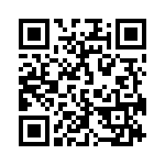 171333K250C-F QRCode