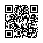 1728235 QRCode