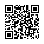 1731100065 QRCode