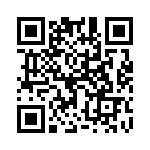 17882-4SG-3ES QRCode