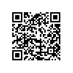 179-009-313R691 QRCode