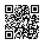 19300161271 QRCode